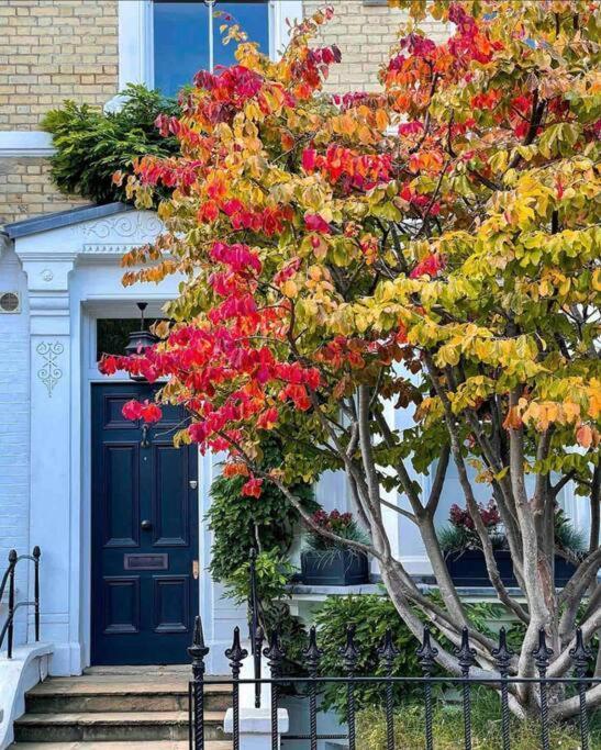 Chelsea Posh Apartment London Ngoại thất bức ảnh